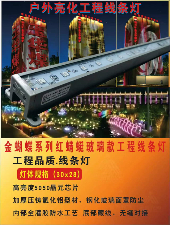 金蝴蝶系列红蜻蜒玻璃款工程线条灯.jpg